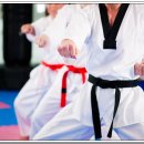 용인대박사백호태권도장 이미지