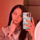 커먼와일드 이미지