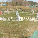 고금면사무소 이미지