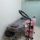 다즐링 뷰티