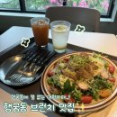 비주얼메이븐 | [수원/행궁동] 카페메이븐 행궁동본점 / 솔직후기 / 행궁동 데이트 브런치 맛집 항정살 파스타 후기