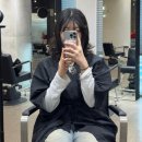 태림 | 시드더뷰티 성수점 태림 팀장님께 단발 시술 받은 후기