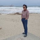 영덕읍사무소 입구 | 해맞이공원~벌영리 메타세콰이어길~고래불해수욕장),오션뷰 숙소 칠보산자연휴양림 휴양관1동 해송 후기