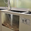 대게좋은집 붉은대게 무한리필 | 대구 남구 봉덕동_ 수율좋은 싱싱붉은대게 무한리필집 🦀