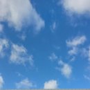 글로벌국제행정사사무소 이미지