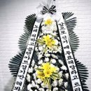 용산 국회의원(국힘) 권영세 사무실로 배달된 근조화환 문구 이미지