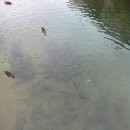 상수민박 이미지