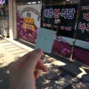 창녕대로 이미지