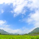 황산공원 캠핑장 3번 이미지