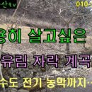 산과들부동산중개사무소 이미지