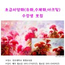 서양화 초급 이미지