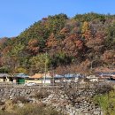 구산회관 티스토리