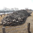 장남면사무소 이미지