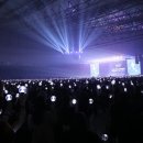 서프라이즈월드 이미지