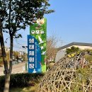우포늪체험장 전시실 및 기타 | 경남 창녕 가볼만한 곳 ‘우포늪 생태체험장’(+ 단풍, 쪽배체험, 킥보드)
