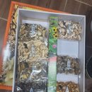 회성동255 이미지