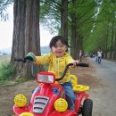 호동사슴목장 이미지