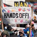 루나독(Luna dog) 이미지