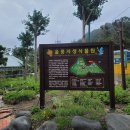 영일대약국 이미지