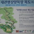 삼양여행사 이미지