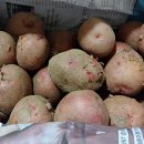 서홍농장 이미지