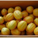 대구청과시장 이미지