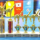 영남대 삼성태권도 이미지