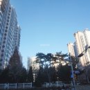 새에덴공인중개사사무소 이미지