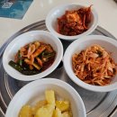 오퍼스홀 이미지