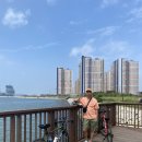 첼로파크 | 추천] 시흥 거북섬 라이딩 데이트, 메리다 &amp; 첼로 엘리엇 후기까지 🚲 기억 속 그날, 우리 둘만의 라이딩