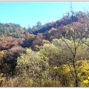 내서면 노류리 이미지