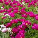 동양 한의원 이미지