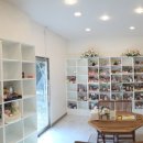 타임투반려동물 장례식장 이미지