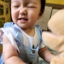 (주)서인환경
