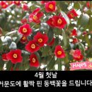 [카톡글]욕심의 한계 이미지