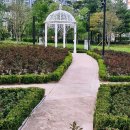 도심공원 | [여행] 오산 고인돌공원 후기 🌿 장미정원 + 도심 힐링 산책 코스