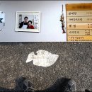 물고기세상 이미지