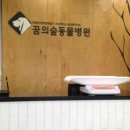 꿈의숲동물병원 이미지