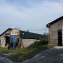 용인양계 이미지