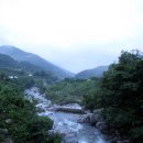 풍산농산 티스토리