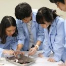 분당고등학교 이미지