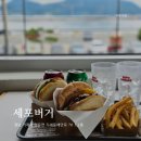 거제버거맛집 신상 맛집 수제버거 전문점 세포버거