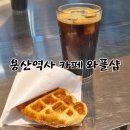 와플샵 | 용산역 내부 카페 와플샵 위치 및 메뉴 후기