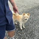 에스스테이(S-Stay) | 고흥 에어비앤비 숙소추천 내돈내산 신스스테이 Shin's stay Oia 대가족여행 숙박후기