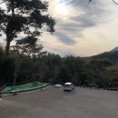 대숲속으로 이미지