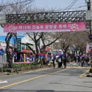 탑동회관 | 2026 제주 전농로 왕벚꽃축제 먹거리 식당 카페 실시간 후기