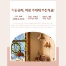 라탄공예지도사 | [부산 단체수업] 부산종합사회복지관 중장년층 라탄 공예 출강