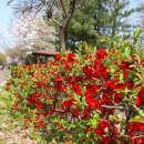 공암나루근린공원 이미지