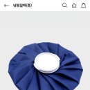 약국에 이런 얼음주머니 파나?? 이미지