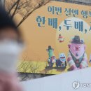 배*두